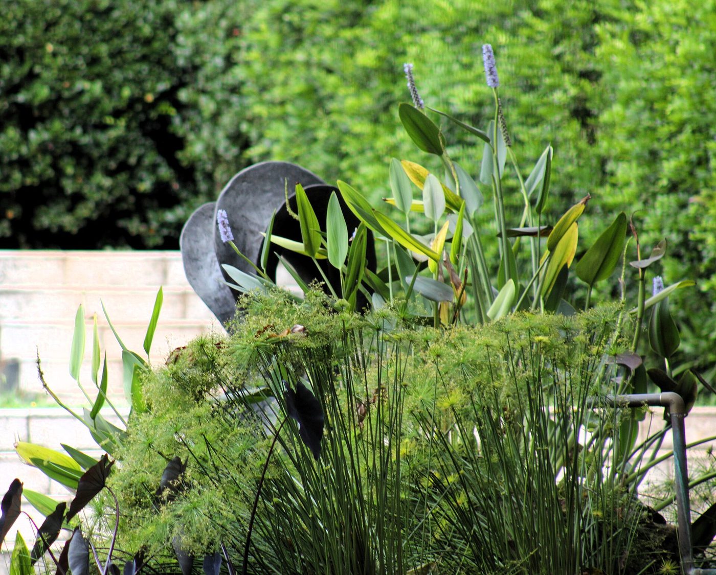 Jardins da Cinemateca Brasileira