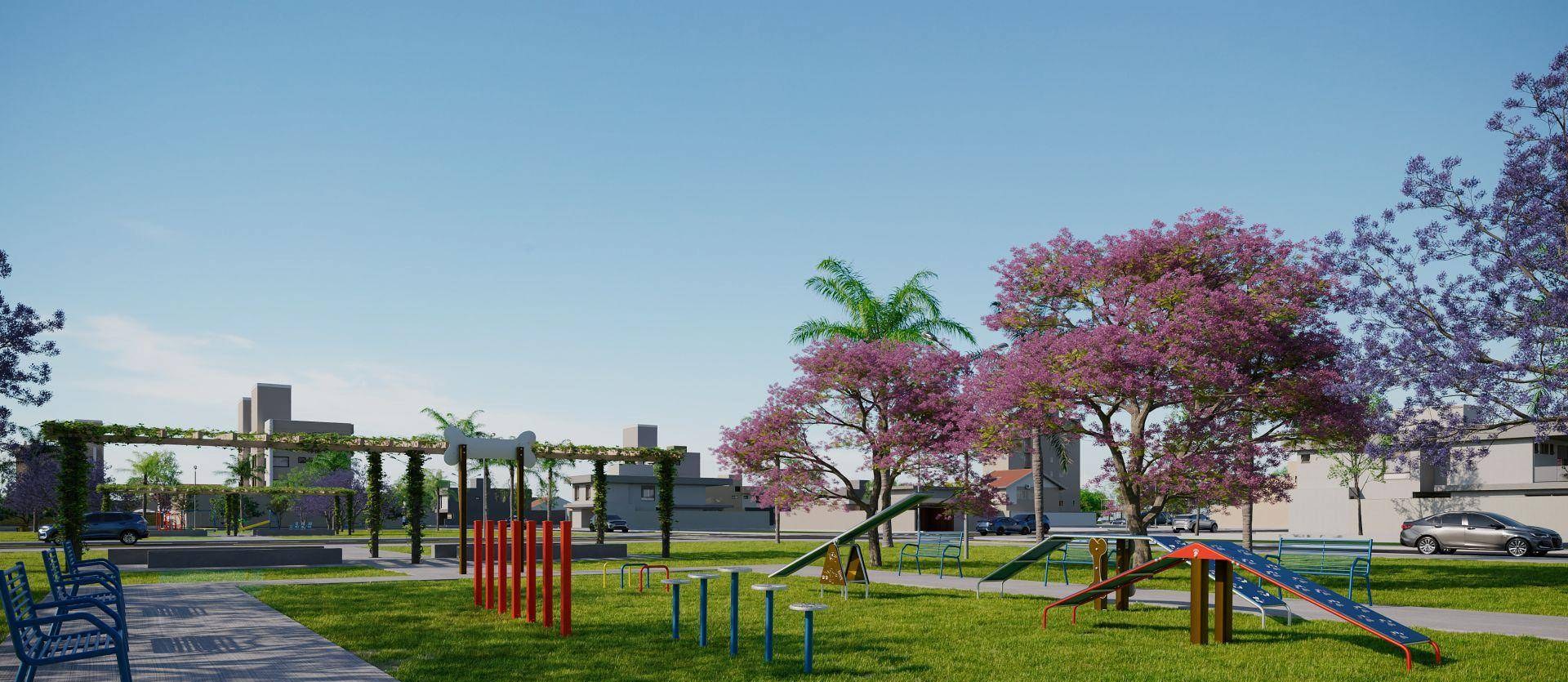 Bora Interlagos